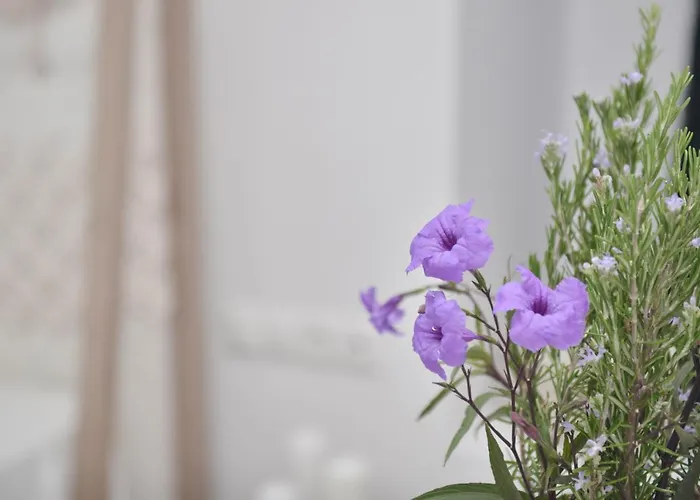 Blue Paradise 4* Naxos City